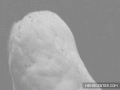 tumblr_nb8fv8lgyy1r7uctzo1_400.gif